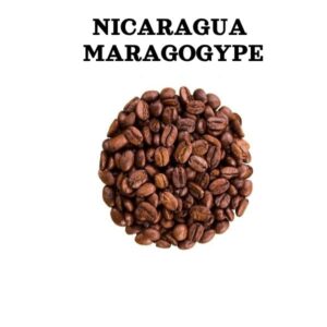 Качественный кофе Никарагуа Марагогипе