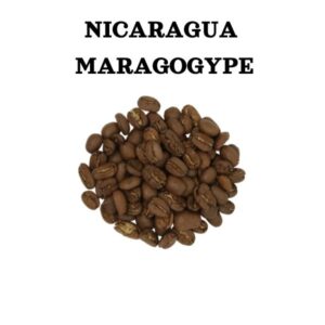 Качественный кофе Никарагуа Марагогипе
