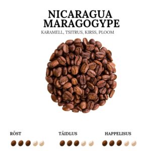 Качественный кофе Никарагуа Марагогипе